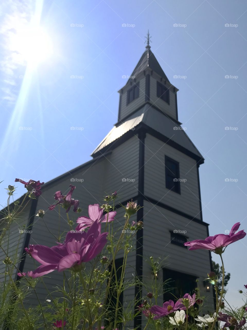 Purple flowers in front of church with sunshine 