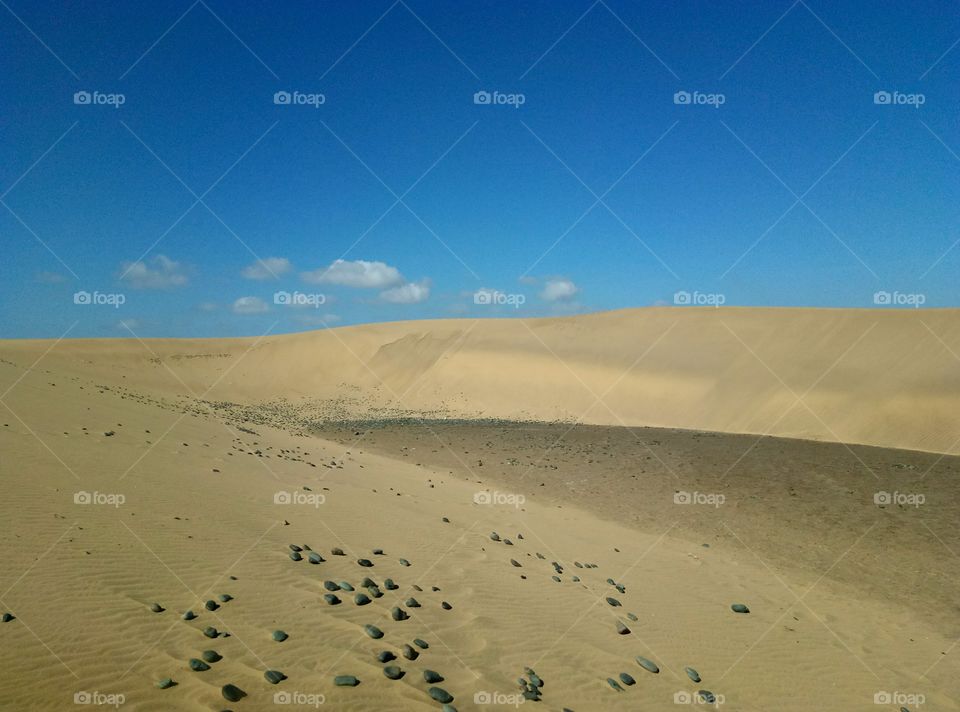 Desert, Sand, Dune, No Person, Landscape