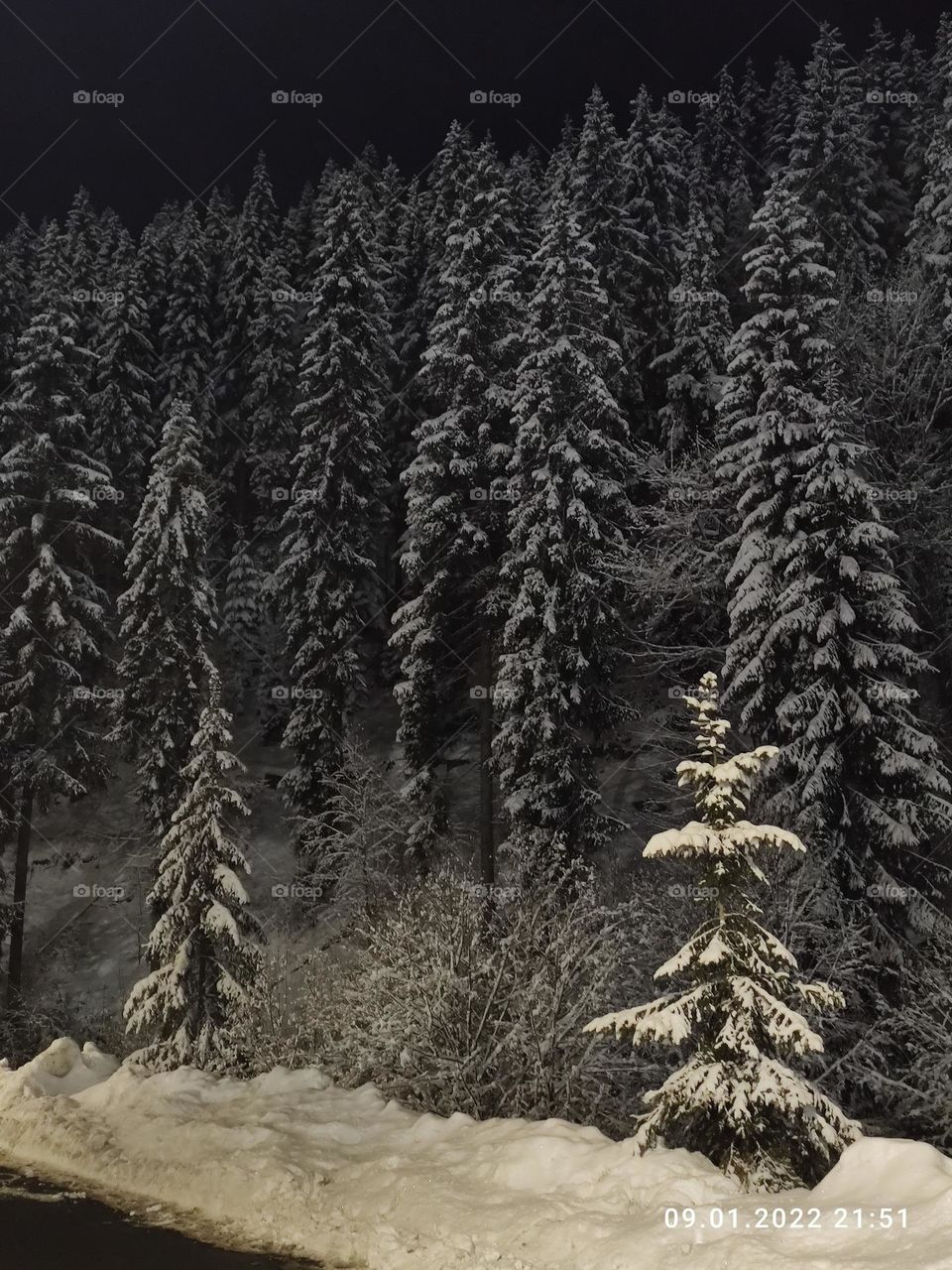 Carpathian mountains Ukraine