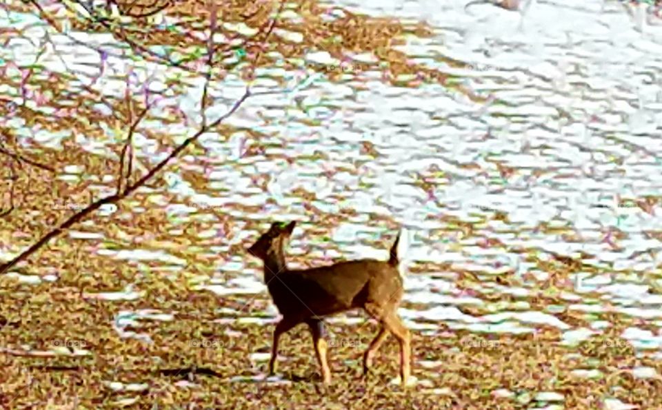 Driving the back Roads