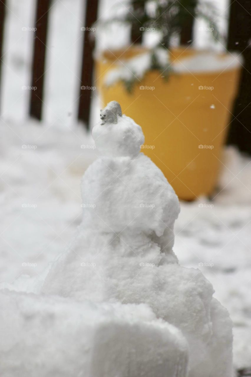 Snowman with polar bear on his head 