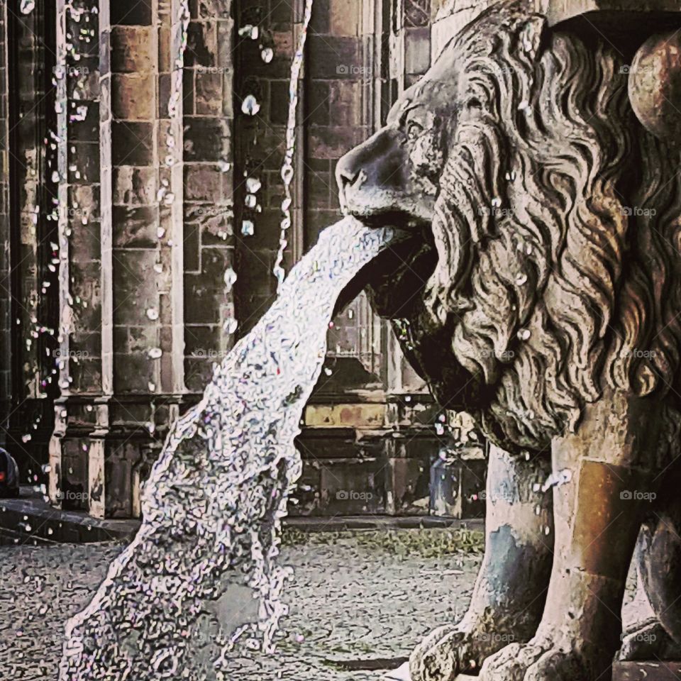 Springbrunnen in Köln