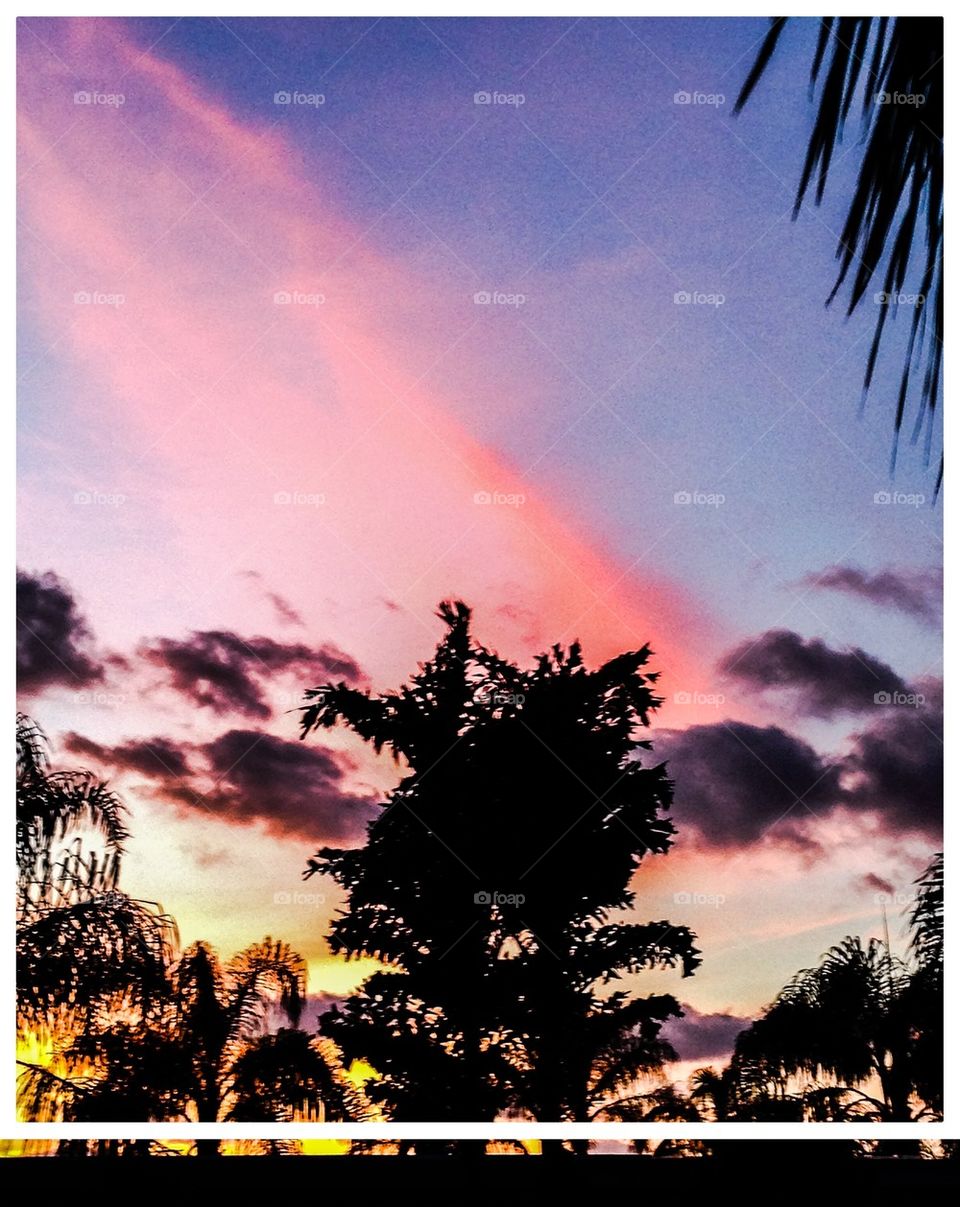 Sunrise in Florida #4