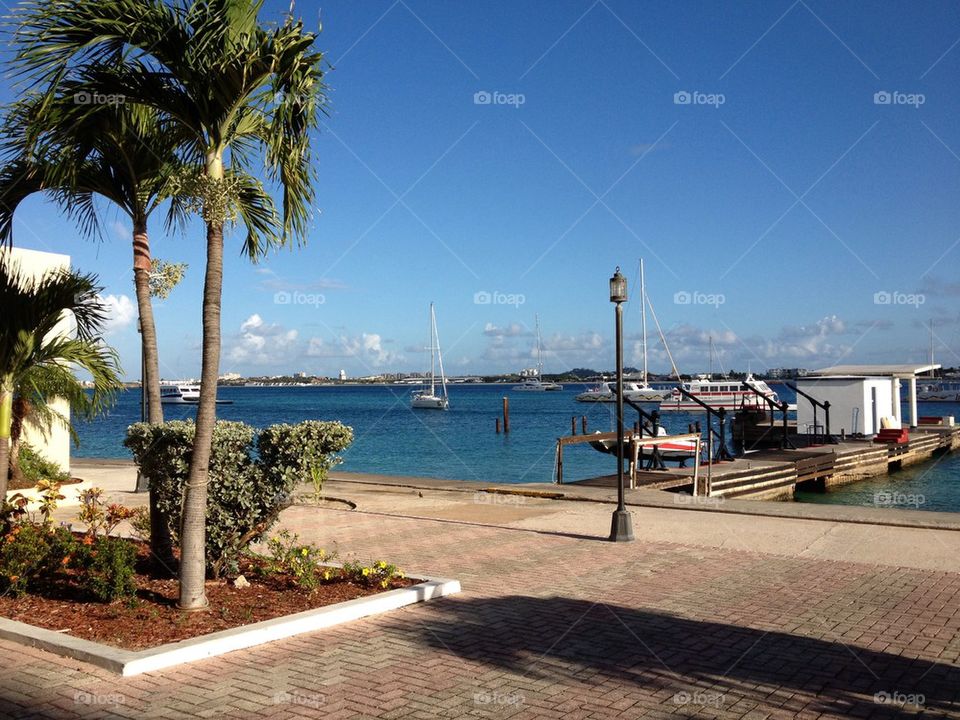 Saint Maarten Harbour
