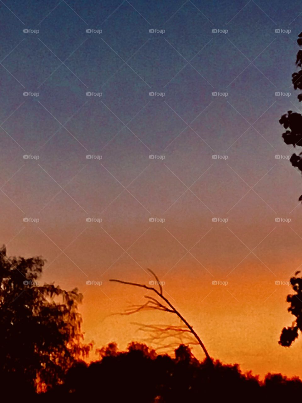 Texas Morning colourful clear sky will turn into a beautiful summer day. 