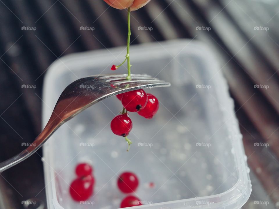 Red currants