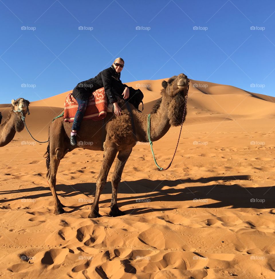 Young woman sitting on camel