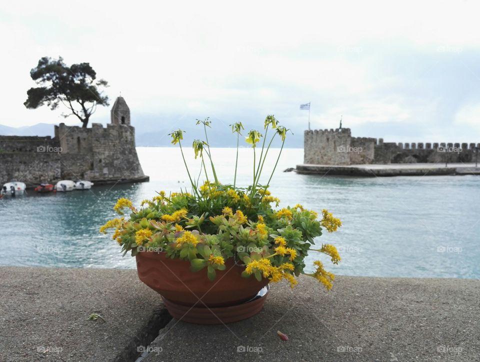 port in nafpaktos, gulf of corinth with flowers in the foreground