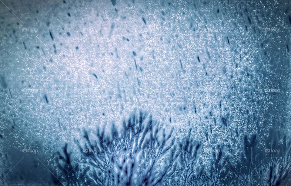 Snow falling from the sky onto tree tops. 