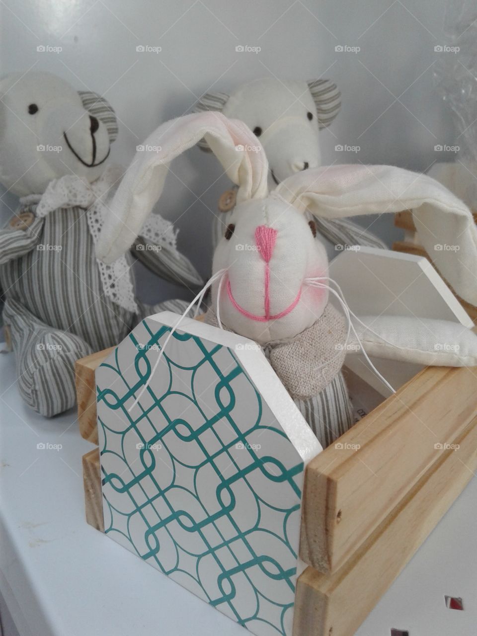 rabbit in a box
