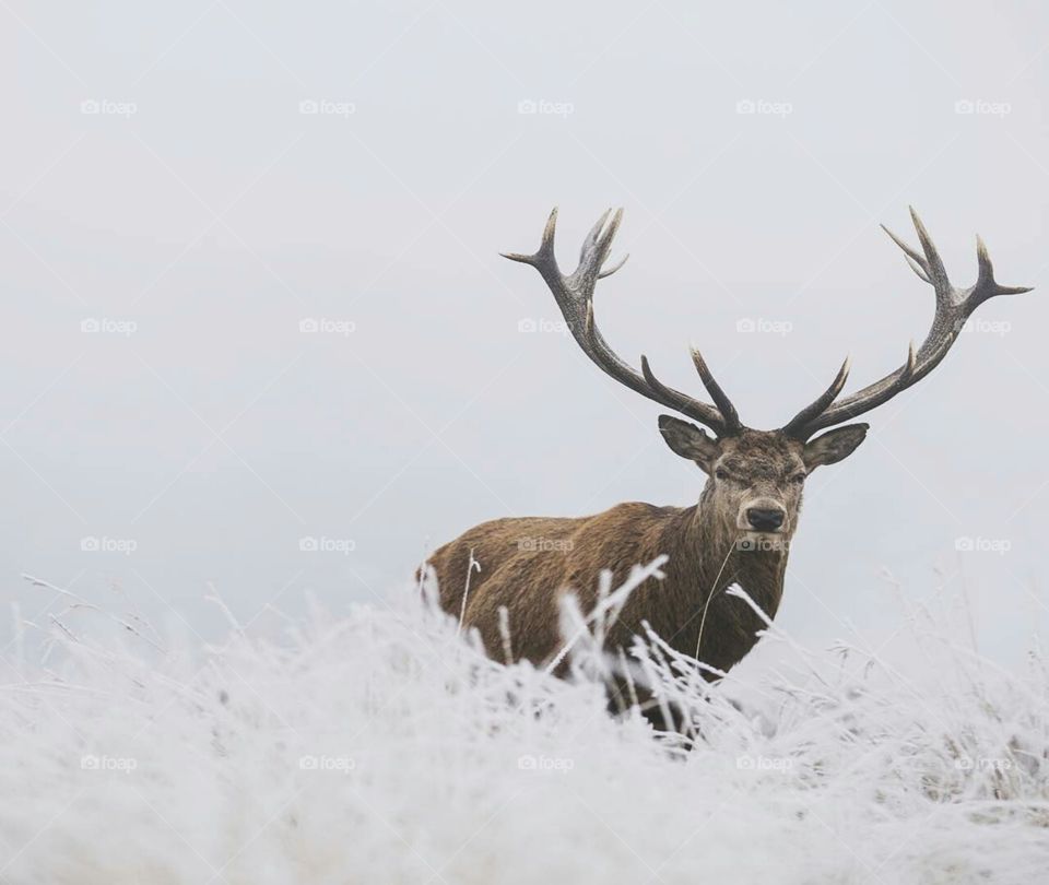 That killer look it gives when you try to shoot the perfect shot.