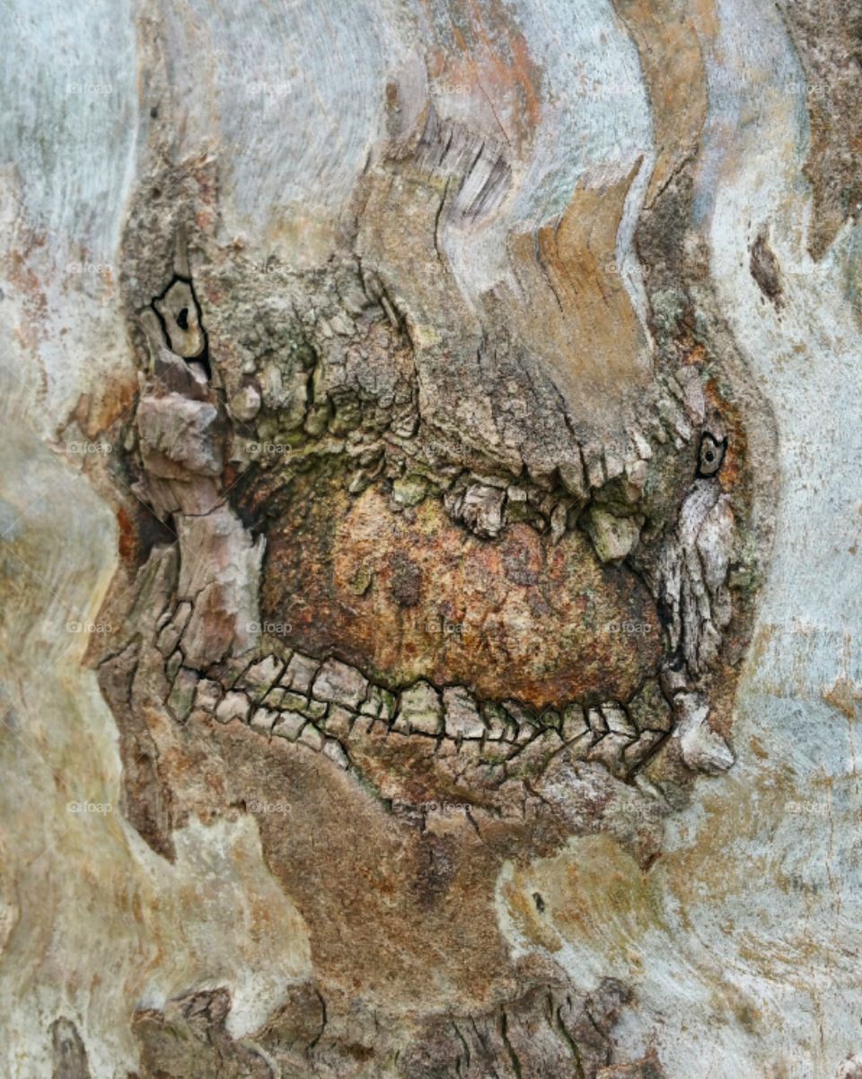Gum tree with angry creature emerging