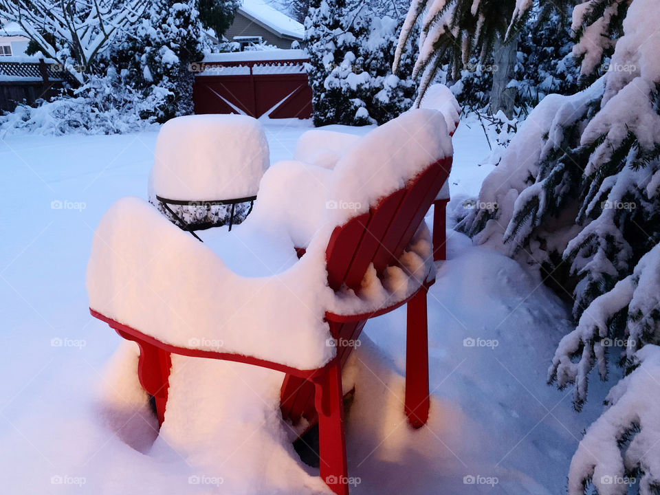 When the backyard looks frozen waiting for a snow queen to seat on those chairs and cut the cake 