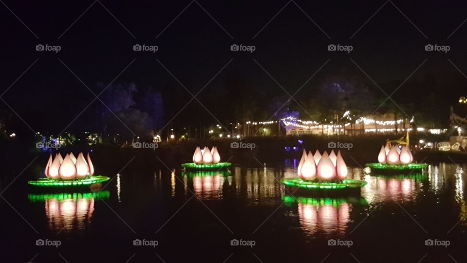 Flowers light up the waters of Discovery River during Rivers of Light at Animal Kingdom at the Walt Disney World Resort in Orlando, Florida.