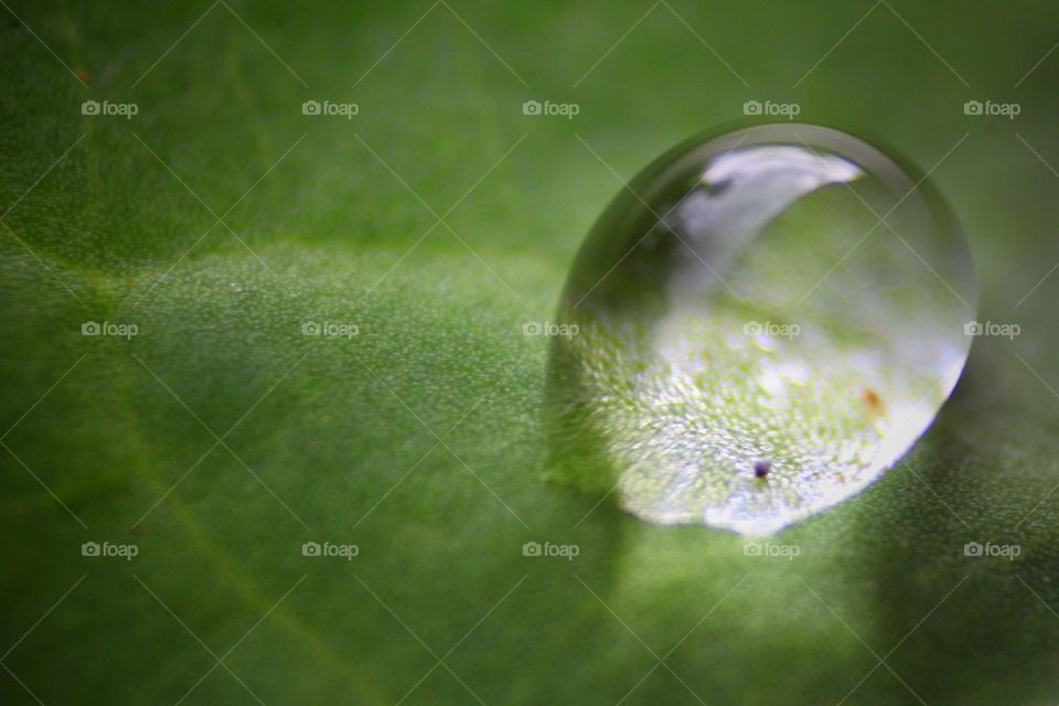 Raindrop