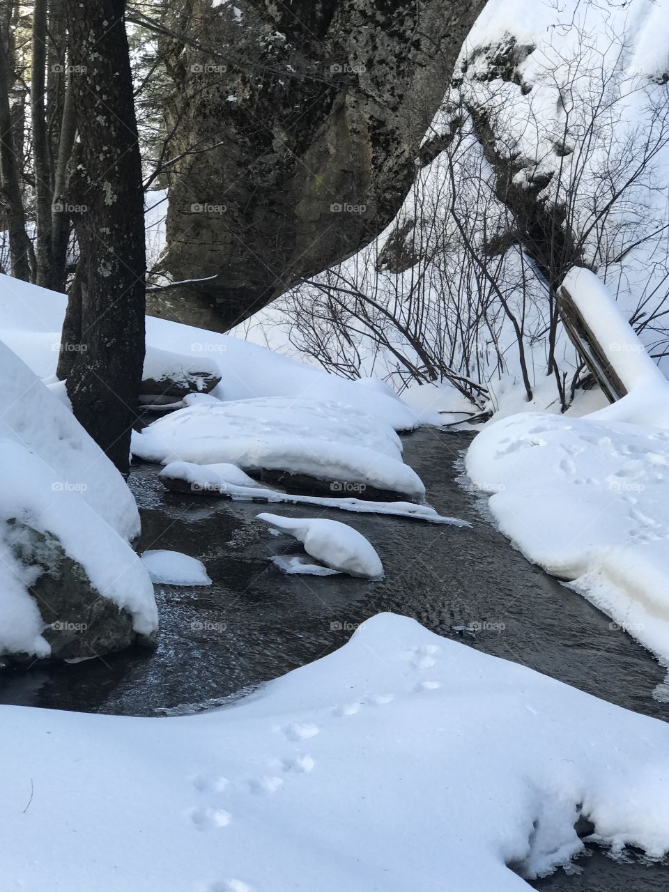Nature Winter Landscape - Snow & Water