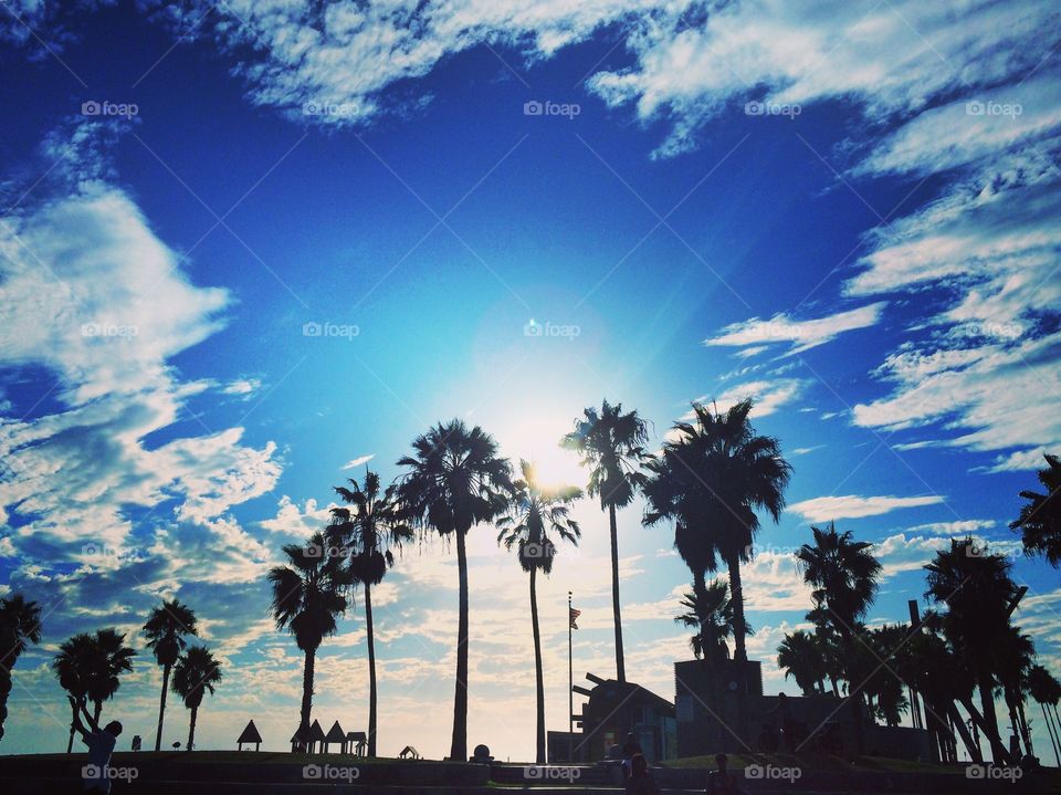 Venice Beach