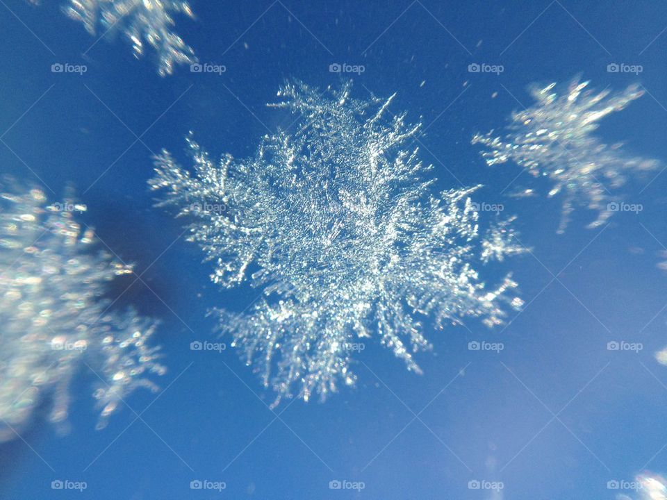 Snowflake falling down