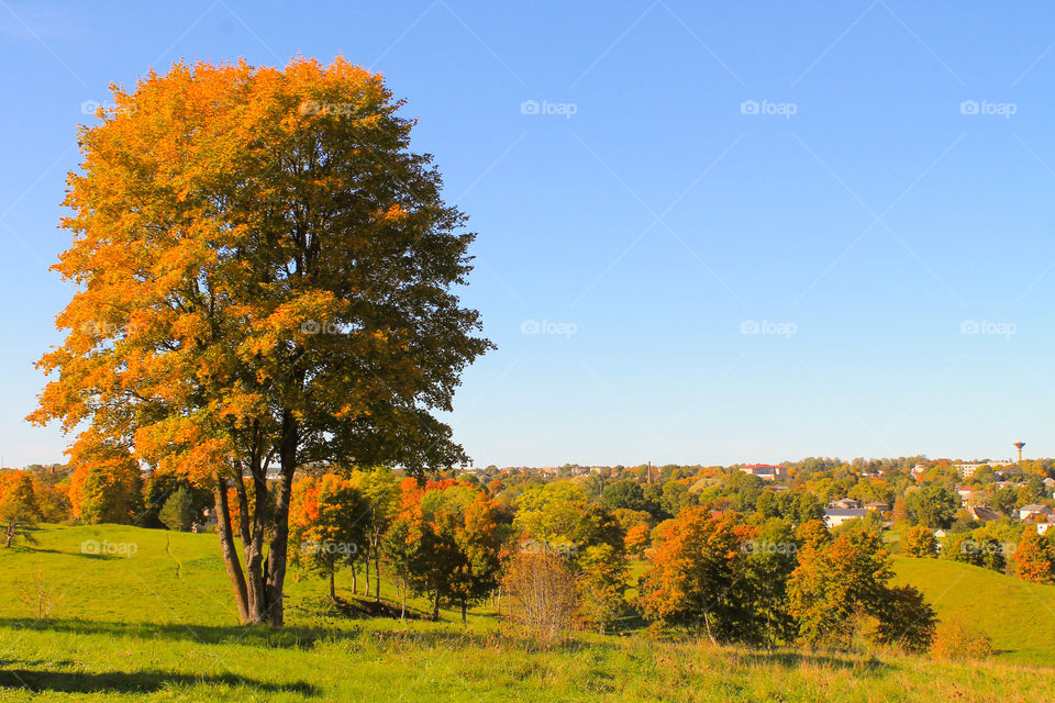 Autumn landscape