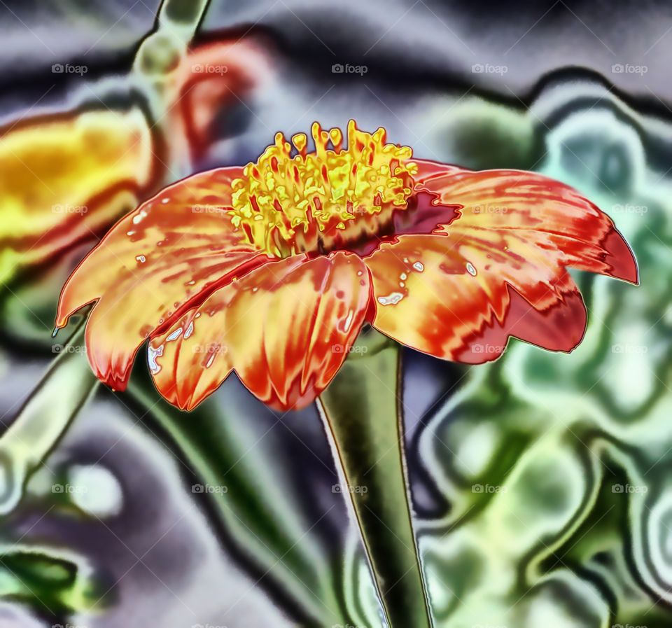 abstract art of a flower