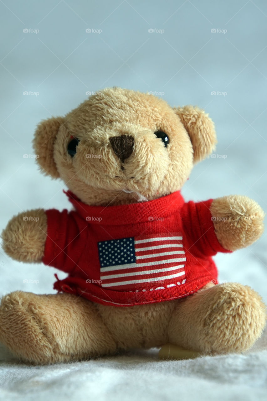 Patriotic Teddy Bear . Patriotic teddy bear dressed in red shirt with American Flag