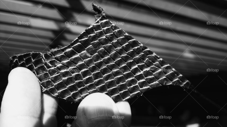 Abstrato, dedos, um couro em preto e branco.