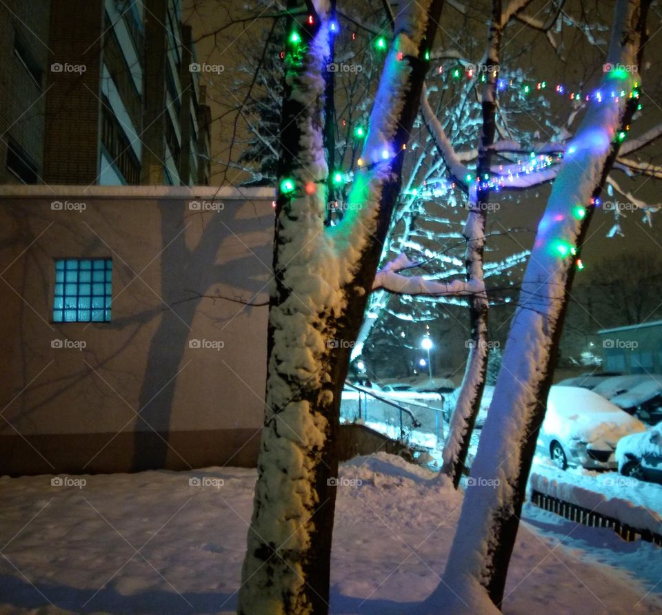 beautiful night light street windows winter time