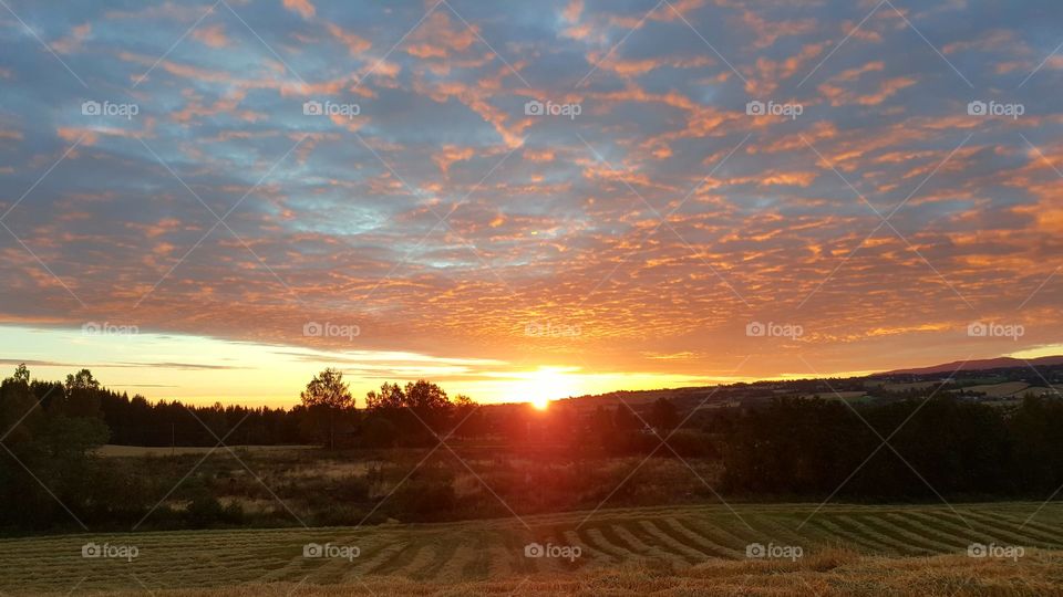 Sunrise over field