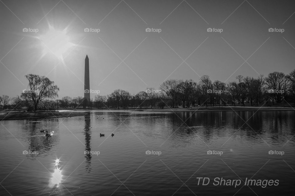 Sunrise over Washington Monument 