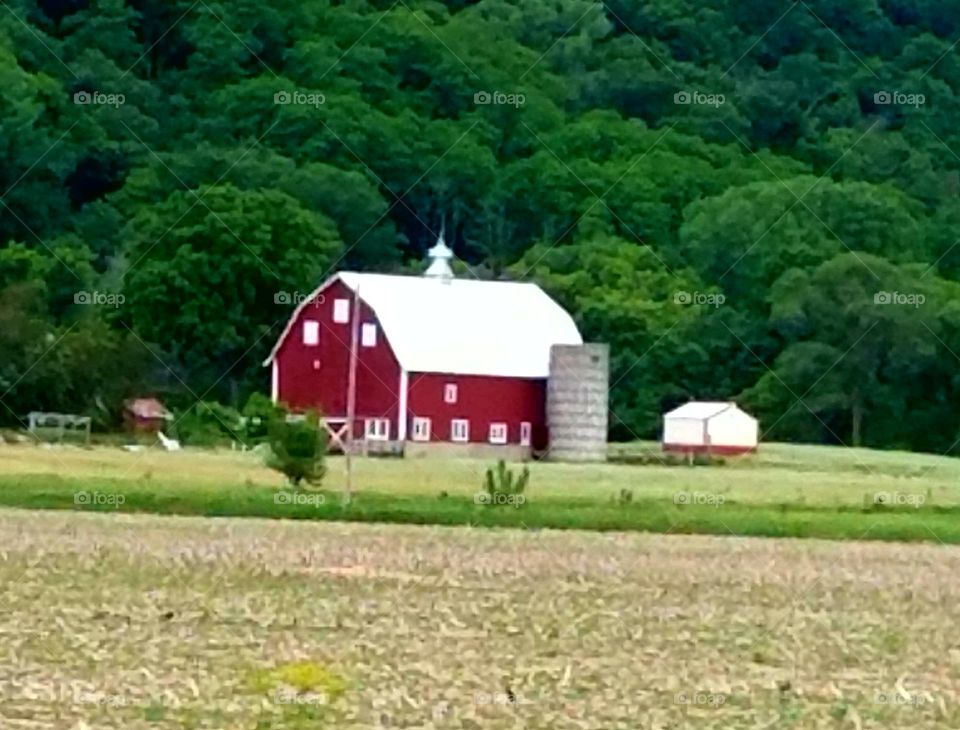 Driving the Back Roads and enjoying everything around us