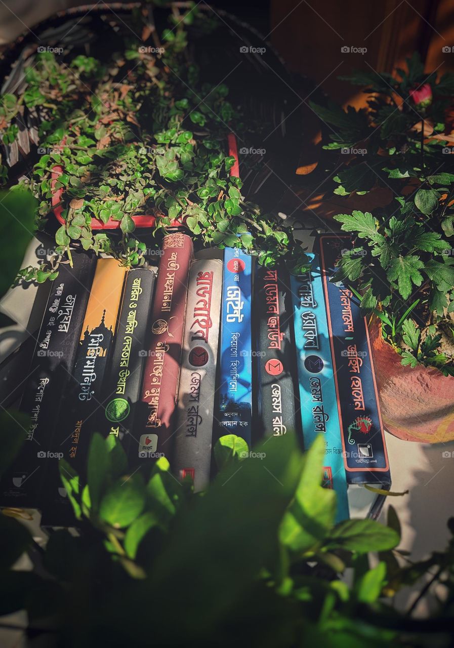 "some times we need Fantasy to survive the Reality "