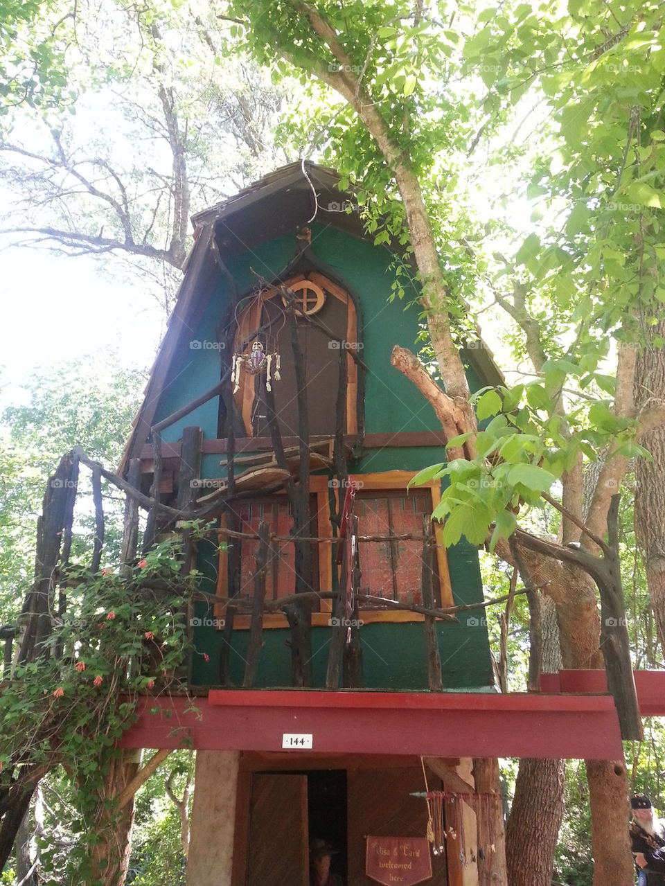 Whimsical Treehouse