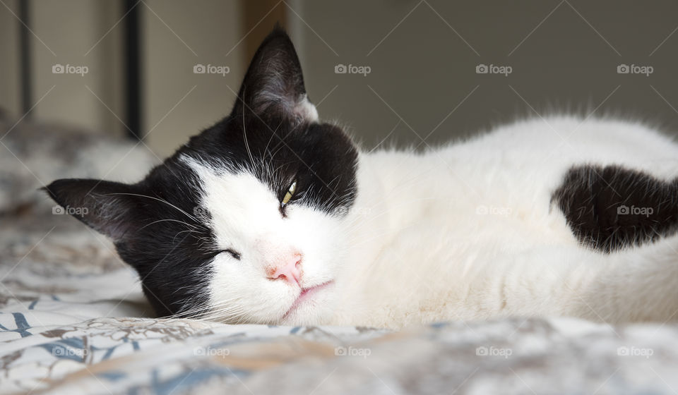 A sleepy black and white cat laying on a bed with one eye open.