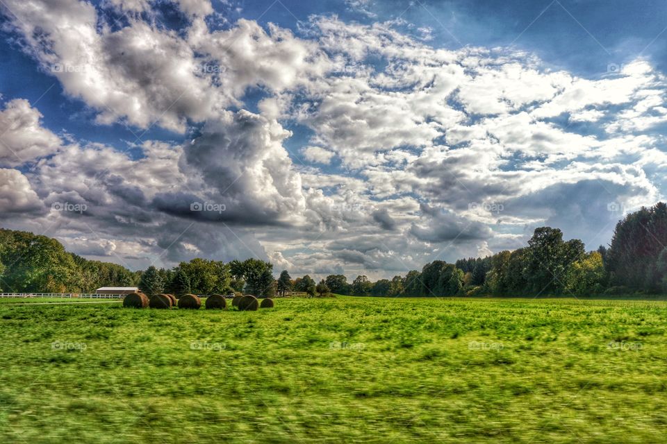 Nature. Hay Bales in Autumn