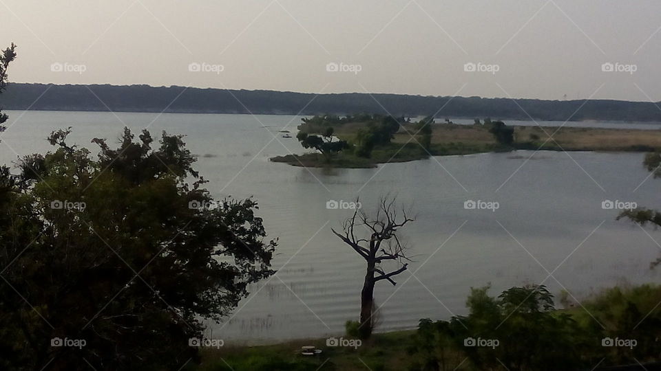Rise of the Ruins. The top of McGregor park above the water.