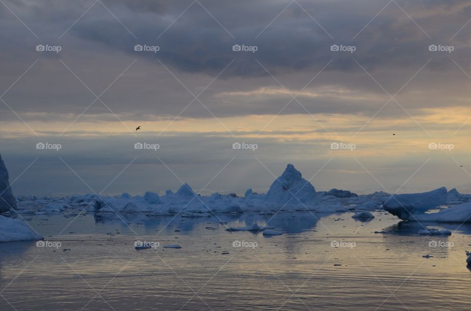 Midnight Sun Sailing Greenland