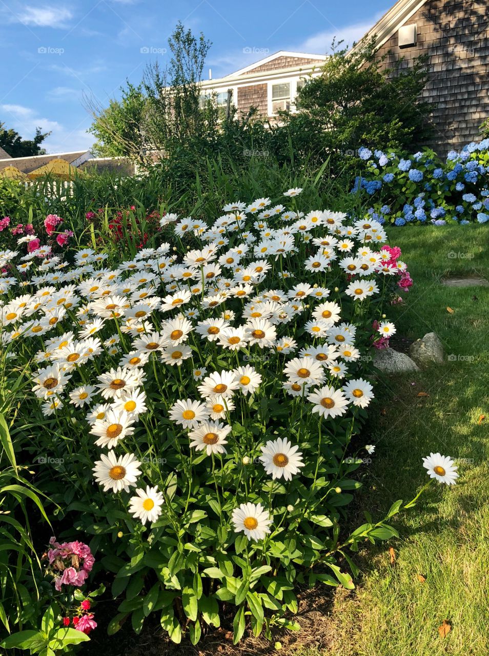 Gardens in Cape Cod