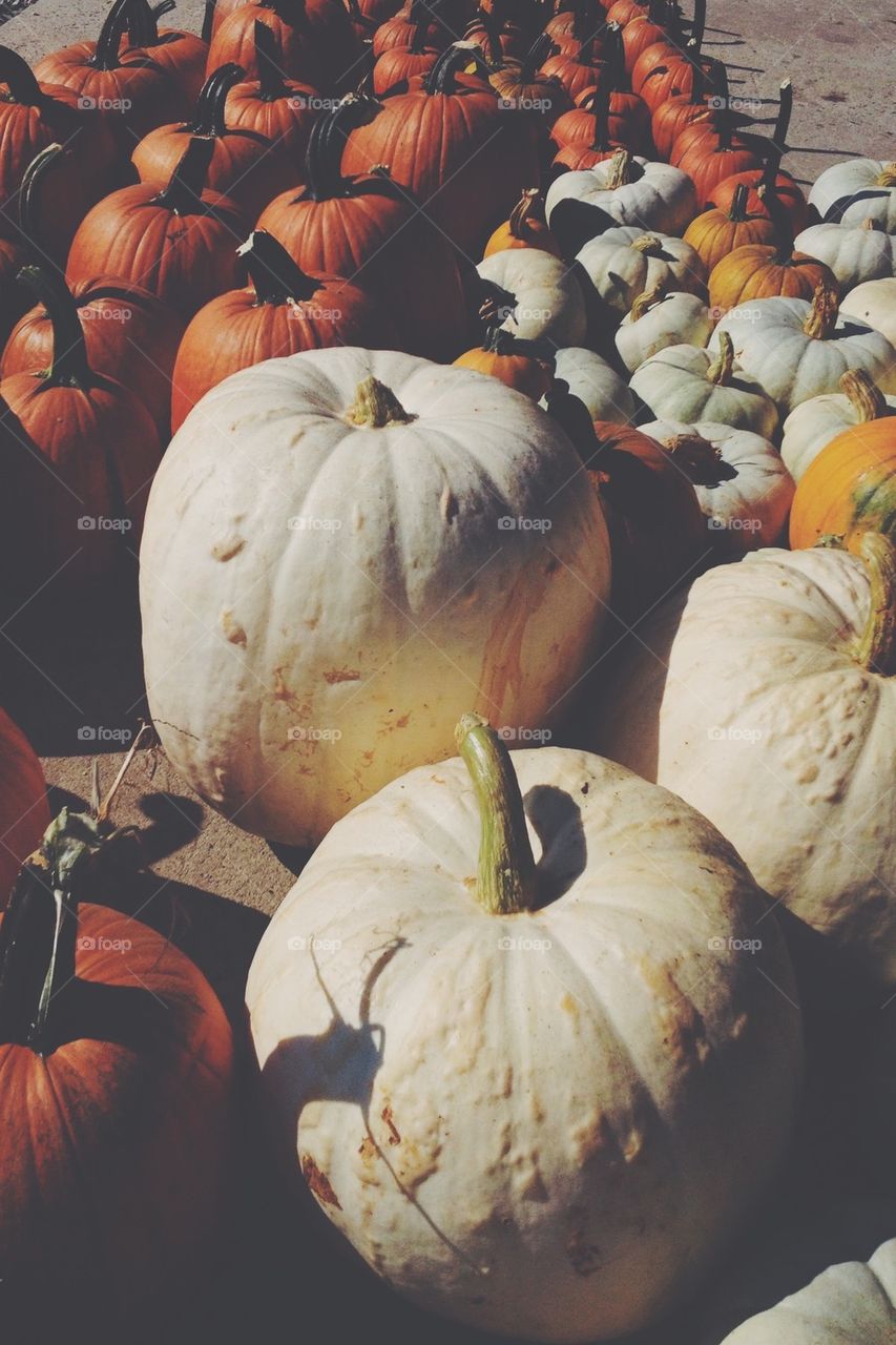 Pumpkins