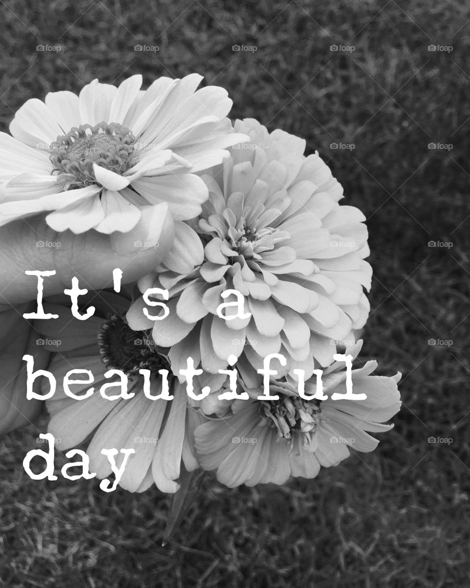 It's a beautiful day!