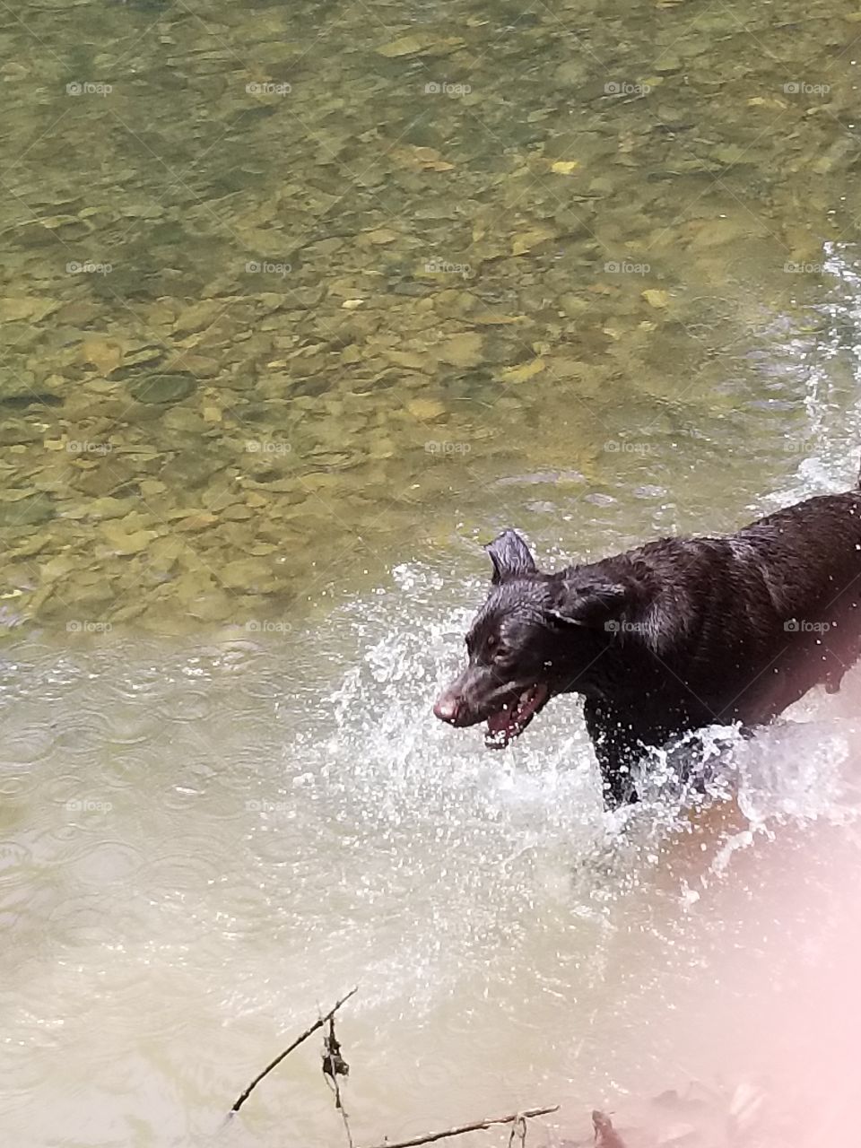 loving the water!