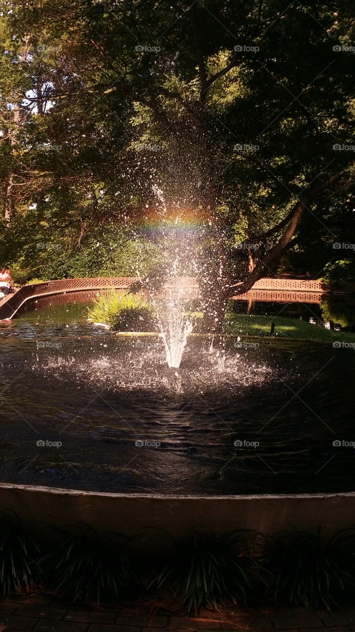 rainbow fountain