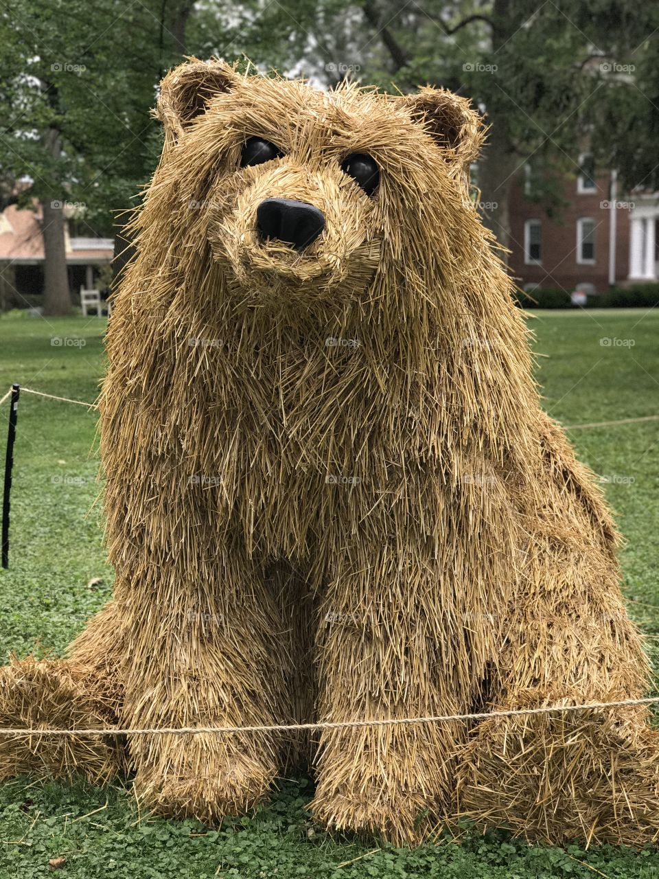 Straw bear sculpture 