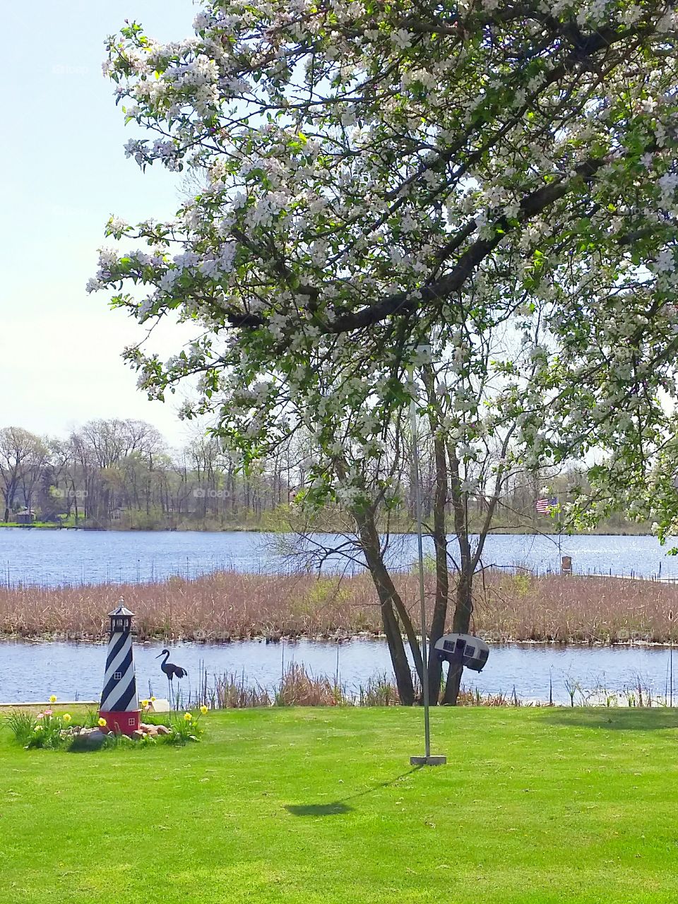 Springtime in Michigan