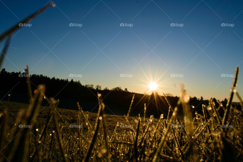 sunrise Frog perspective