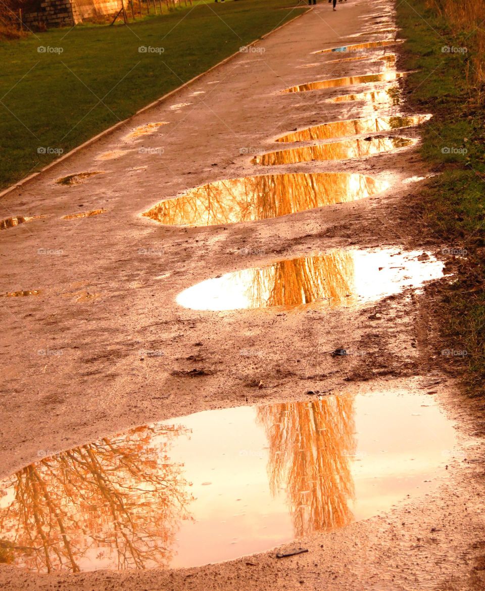 Autumn rain reflections