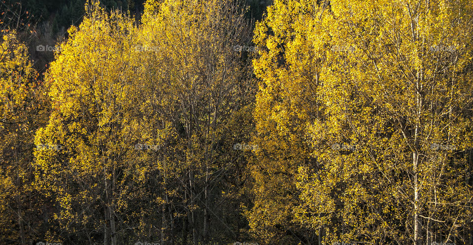 Promenade dans le Doubs