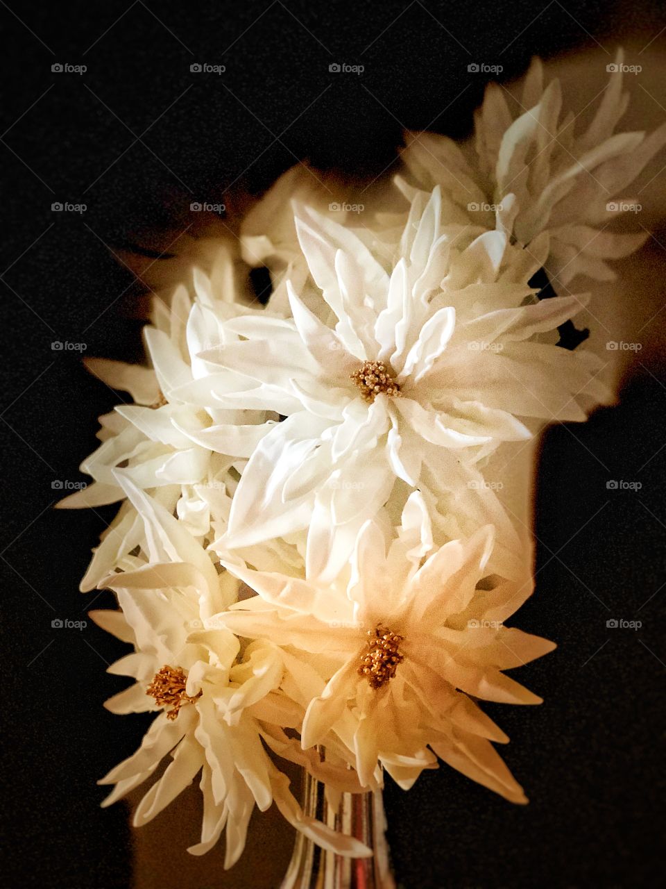 Beautiful Botanicals Fine Art Photography! White Dahlias, Perfect Wall Art and Decor 