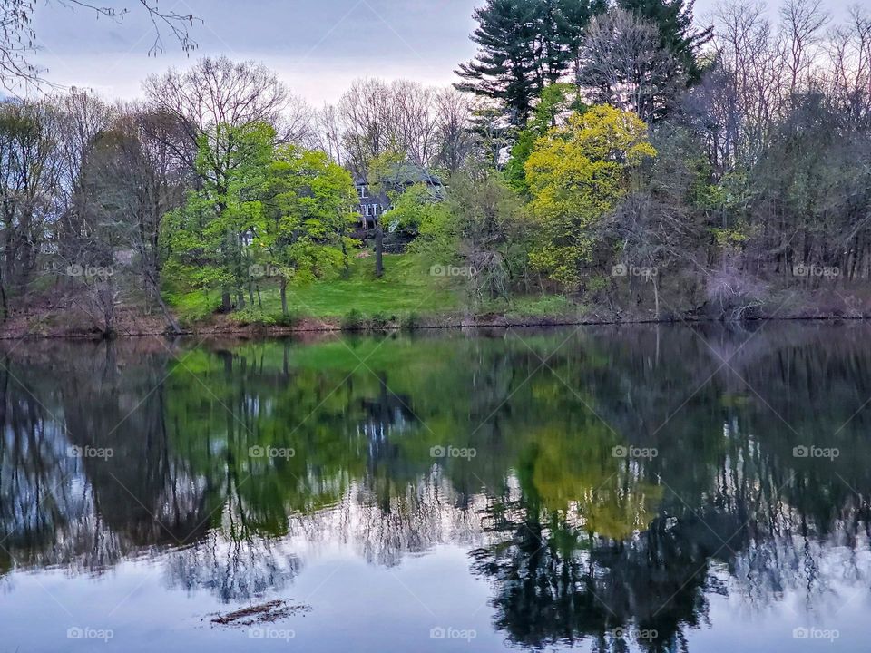 Beautiful reflections on a calm lake during a summer evening