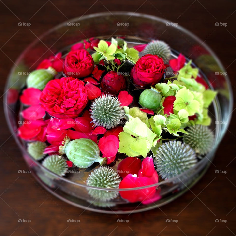 flower bowl roses floral by mary-schneider