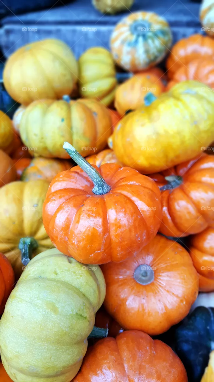Pumpkins